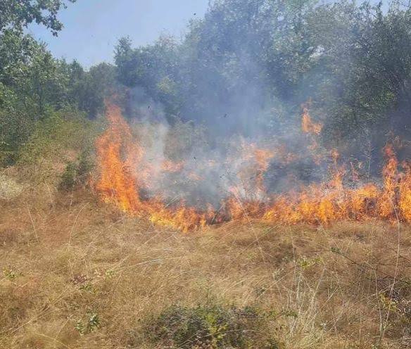 Гори ниска вегетација, дрва и пченка во Горно Лисиче и депонијата на излезот од Крива Паланка
