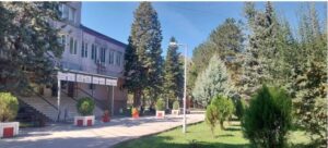 Уште еден случај на затруено двегодишно дете во Куманово