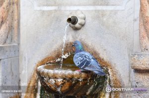 Водата во Гостивар подобрена, но сѐ уште забранета за пиење – Анализите продолжуваат