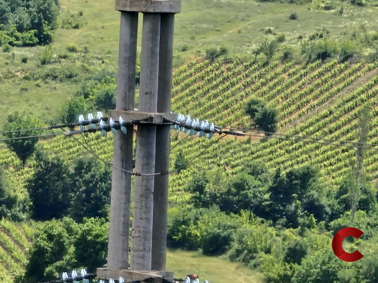 Ќе паѓаат ли сметките за струја? Владата отвора можност за намалување до 10%