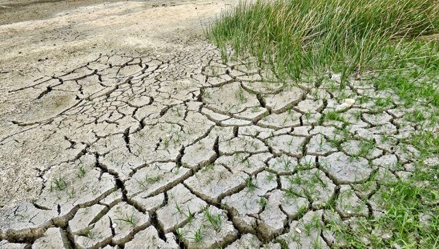 Сушата го уништува земјоделството во земја од која многумина чекаат храна