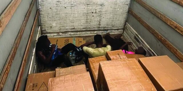 Тројца мигранти од Судан пронајдени скриени во камион со стока од Кина