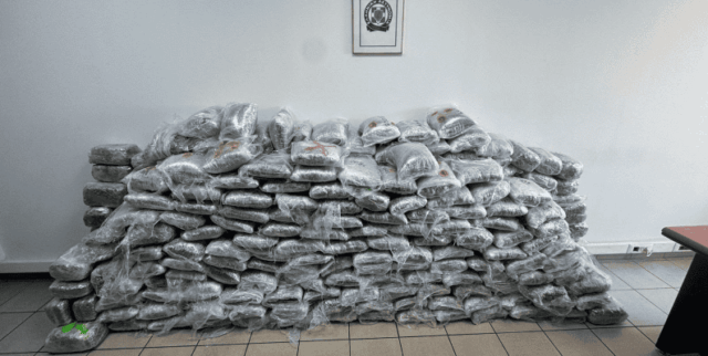 МВР разби меѓународна криминална група: Во Солун запленети над 324 килограми марихуана
