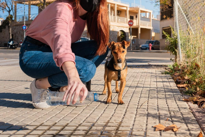 Град во Италија воведе казни до 500 евра за сопствениците на кучиња кои нема да ја исчистат нивната урина