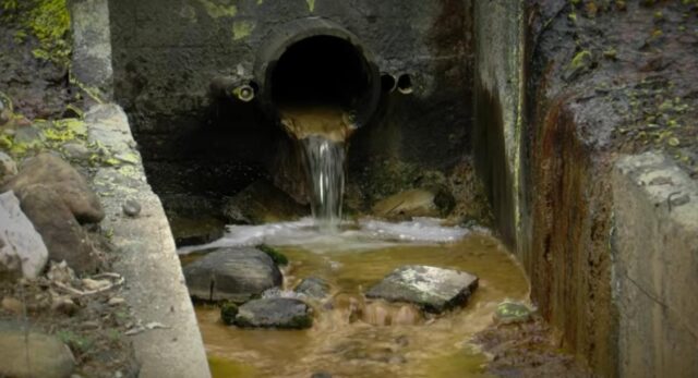 Град Скопје за „Локално“: Нема Ешерихија коли во скопската вода, ова е оркестриран напад