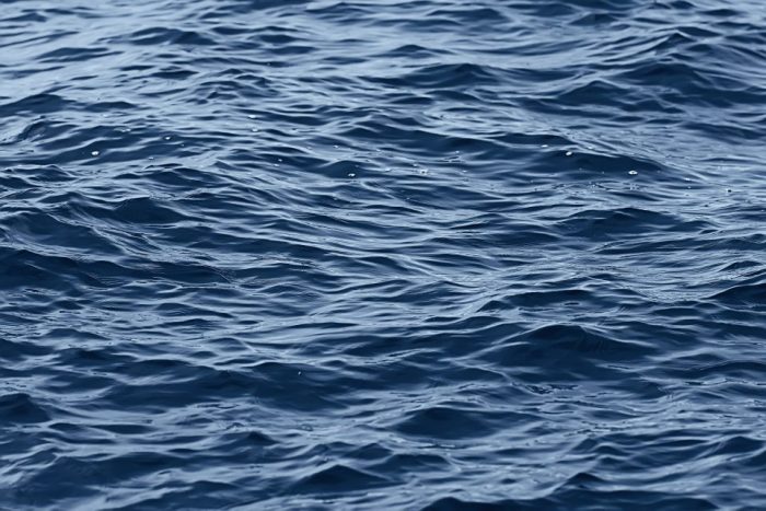 Рајна достигна рекордно ниско ниво во Келн