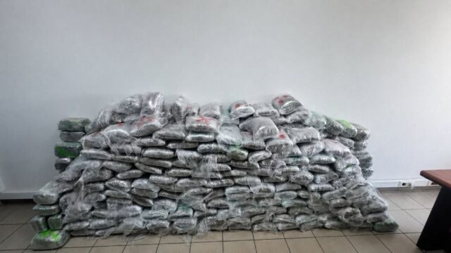 Голема меѓународна полициска акција: Разбиена криминална група за трговија со дрога, запленети околу 300 килограми марихуана