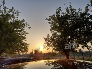 Продолжува топлотниот бран во земјава