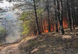 22 пожари на отворен простор утрово