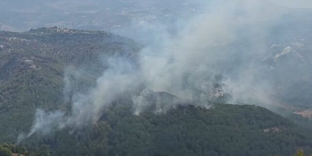Пожари беснеат во Албанија, топлотниот бран ја зафаќа источна и јужна Европа