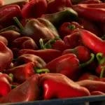 Какви пиперки јадеме дома? Бугарија ни врати 11,6 тони свежи пиперки