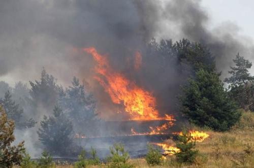 Турнас: Во изминатите десет дена се соочивме со над 400 пожари во Грција