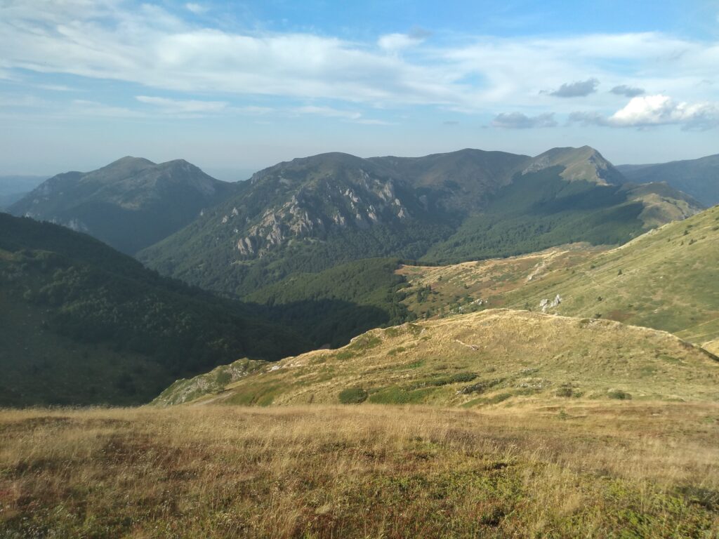 Почина маж на Кожуф, паднало дрво врз него