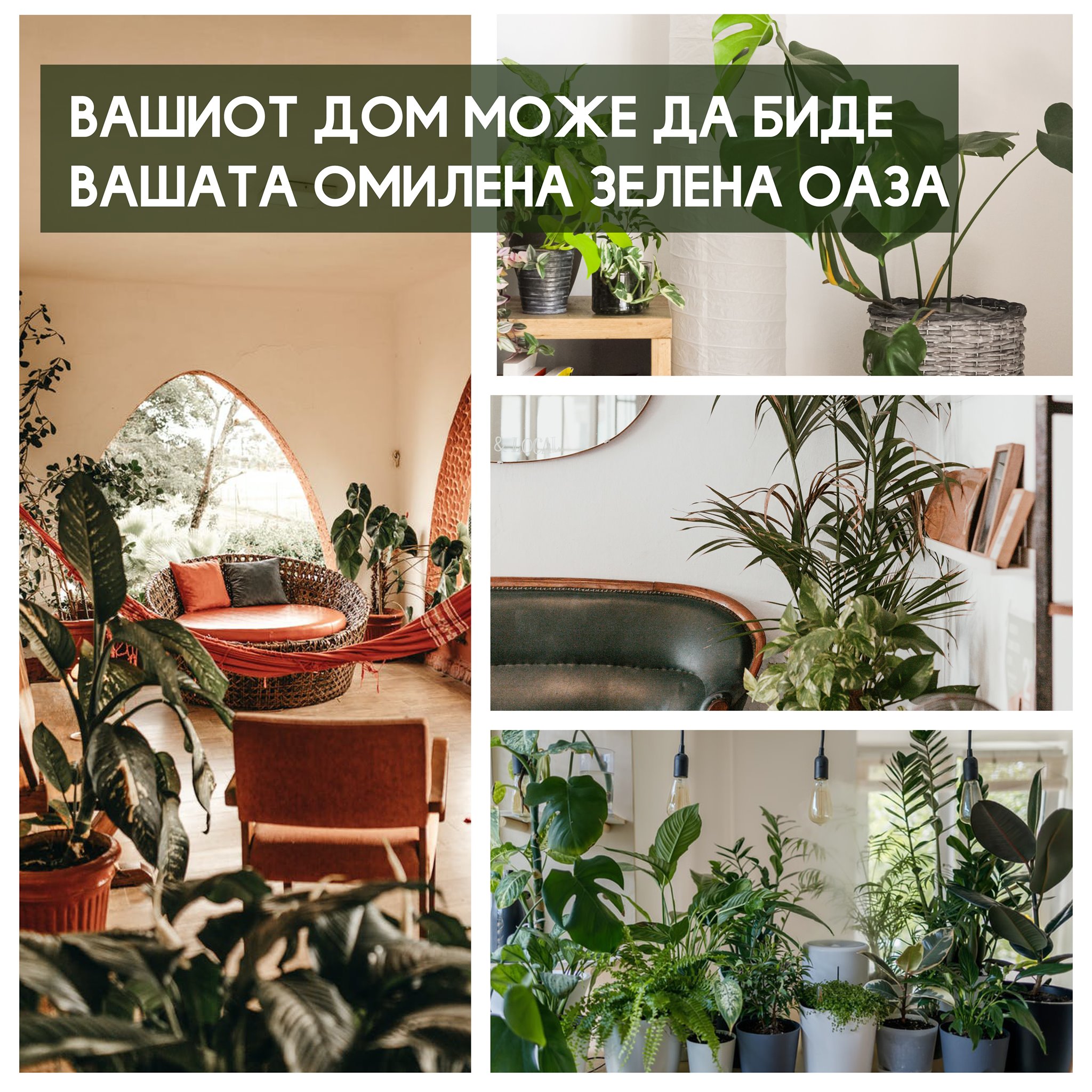 На балкон или дома: како кафето да биде послатко?