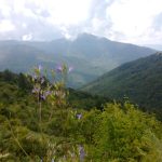 ПАТ ОД ГОЛЕМО ЕЗЕРО ДО БРАЈЧИНО – НОВА ИНИЦИЈАТИВА