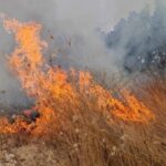 ВИДЕО: Со авиони, хеликоптери и механизација се гасне пожарот кај Кавадарци