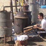 Болестите кои може да ги излечите со ракија
