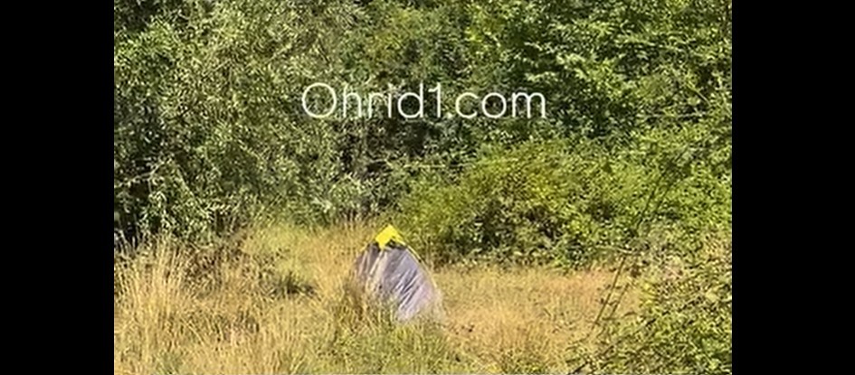 ШАТОР ВО ГРМУШКИТЕ СПРОТИ ВИЛА „БИЛЈАНА“?! Невообичаена локација, сокриена од погледите на минувачите