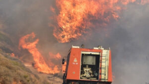 ЦУК: До 18 часот регистрирани 14 пожари на отворено, активен е пожарот кај Грешница