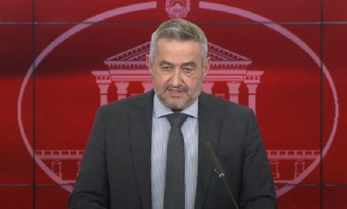 Клековски: Најголем дел од пациентите сo западнонилска треска се од Скопскиот регион и Велес
