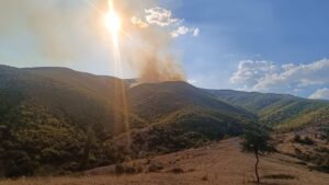 До 18 часот 14 пожари на отворен простор од кои само еден е активен