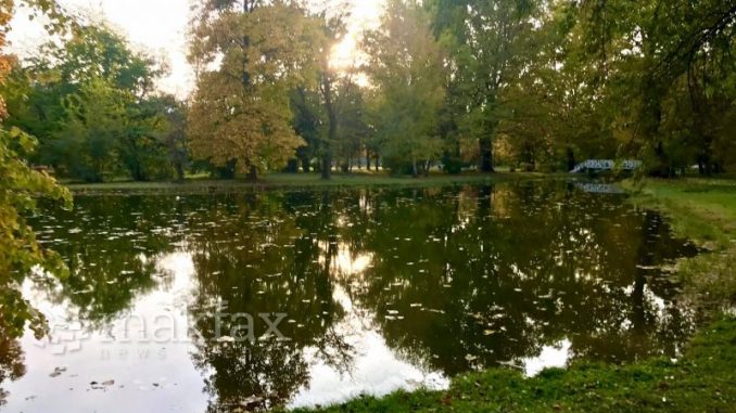 Скопјанец натепан и ограбен од три лица кај Градски парк