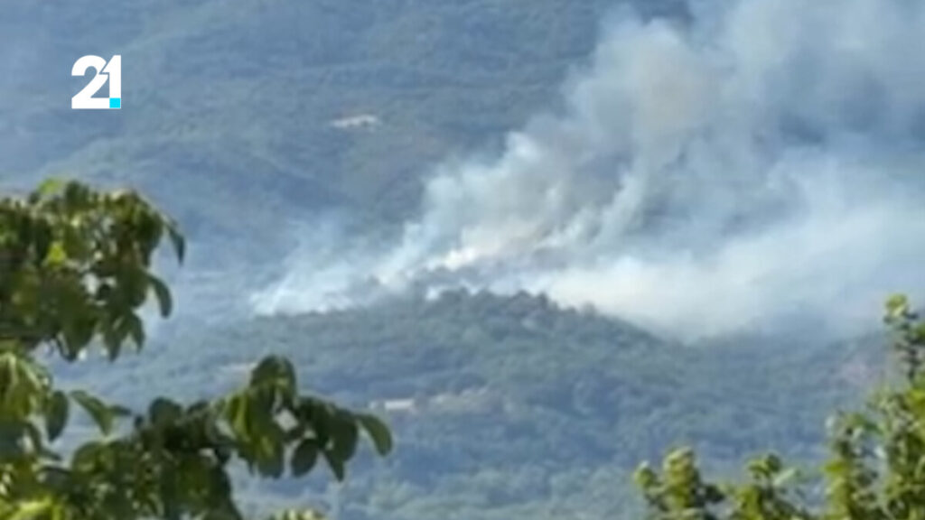 Седум активни пожари вечерва во Македонија
