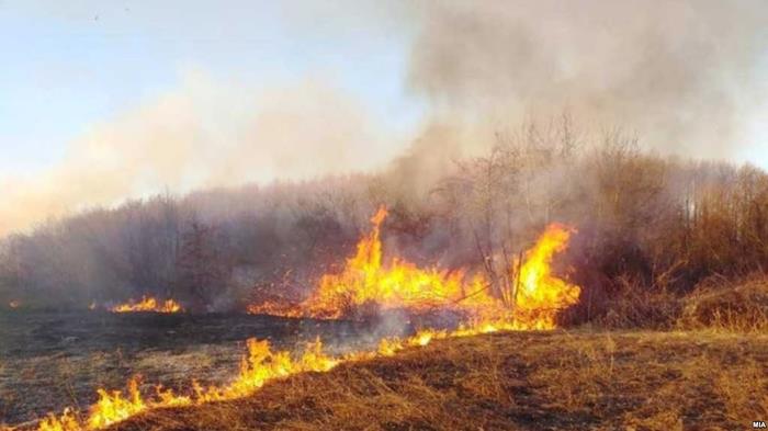Целосно изгаснат пожарот на депонијата во Крива Паланка