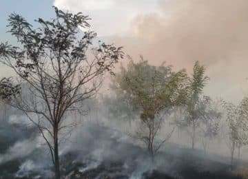 ДВА ПОЖАРИ СÈ УШТЕ АКТИВНИ ВО МАКЕДОНИЈА: Кај Грешница гори шума и ниска вегетација, кај Струмица стрниште