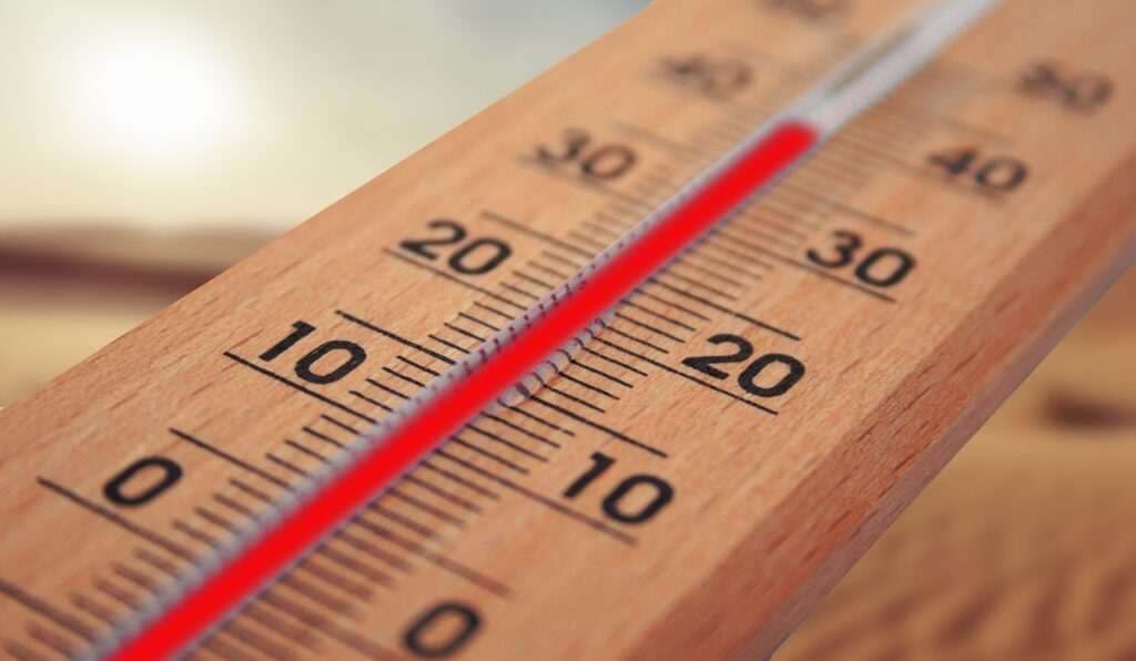 Речиси 3 недели екстремна топлина во Франција, 1.243 смртни случаи поврзани со топлотниот бран
