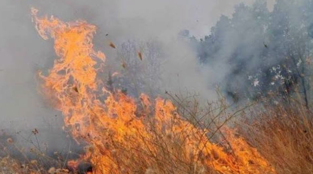 ВНИМАВАЈТЕ: Многу висок ризик од пожари во централна и јужна Македонија