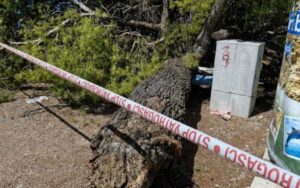 Хорор на плажа во Хрватска: Дрво падна врз капачите, меѓу повредените има и деца
