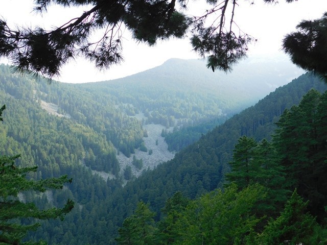 „Скршеници на двете потколеници, во свесна состојба, но при движење крвари“: спасено повредено лице од непристапен терен на Пелистер
