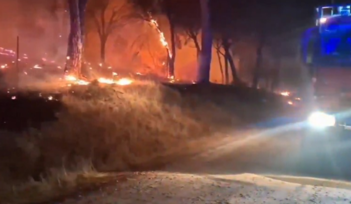 Двајца загинати во голем пожар на грчкиот остров Саламина