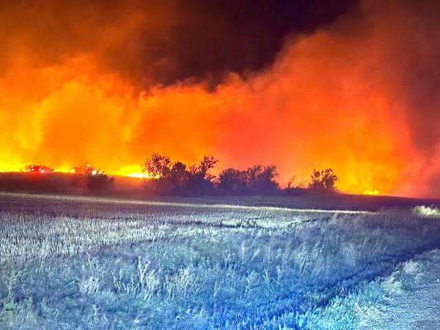 WWF Adria: Човекот е причина за 95% од пожарите, додека климатските промени го зголемуваат нивниот интензитет