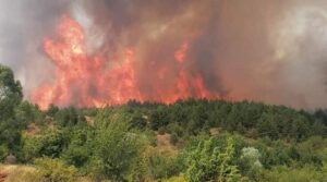 Пламнаа два нови пожари Општина Кавадарци