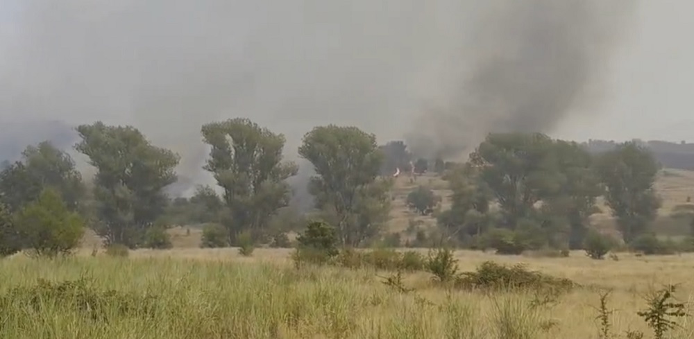 (ВИДЕО) Пожарникари од Скопје и Неготино ќе помагаат во гаснењето на пожарот кај Крушевица, војници ќе дежураат ако треба помош за жителите