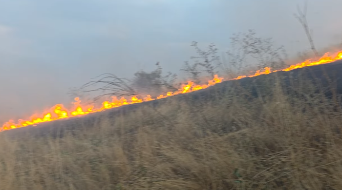 ВИДЕО: Алармантна состојбата со пожарот во село Лознани, огнот се спушти до првите куќи