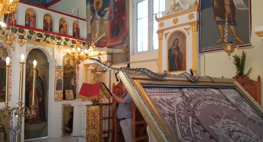Змиите на Богородица: Тајната што секој август ја буди Кефалонија (ВИДЕО)