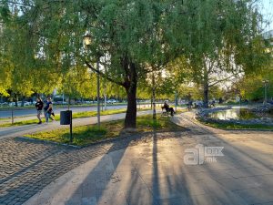 Сончево со мала облачност, попладне локално дожд и ветер
