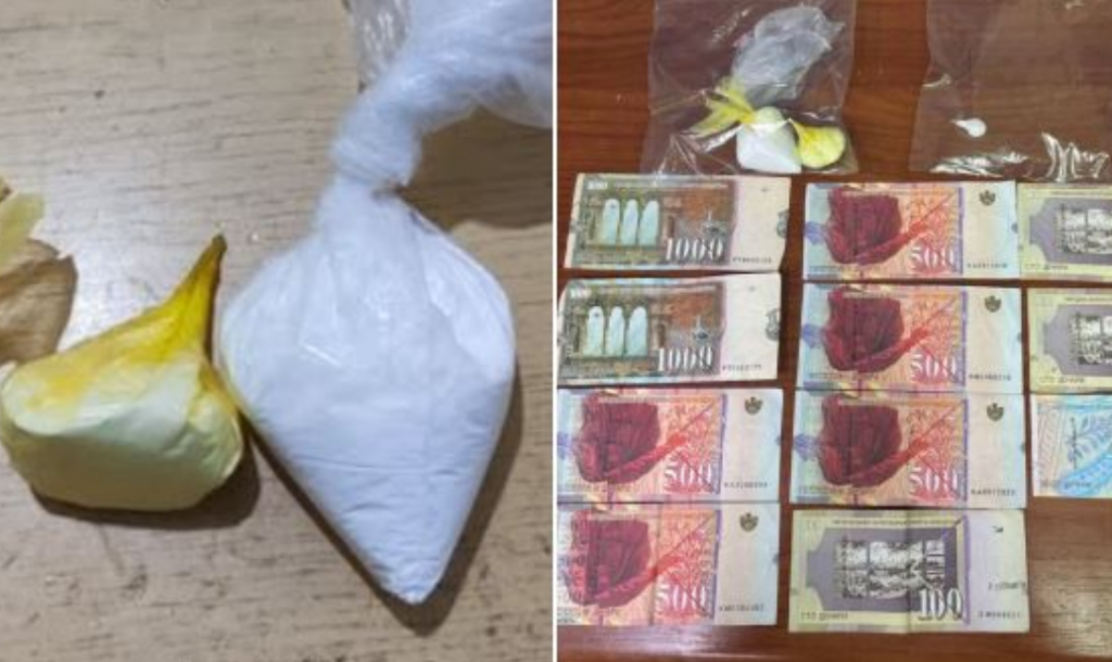 Двајца приведени на „Тиквешки гроздобер“ во Кавадарци, полицијата им пронашла наркотици и пари