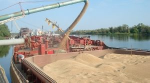 Светските цени на храната во август достигнаа највисоко ниво од крајот на 2022 година