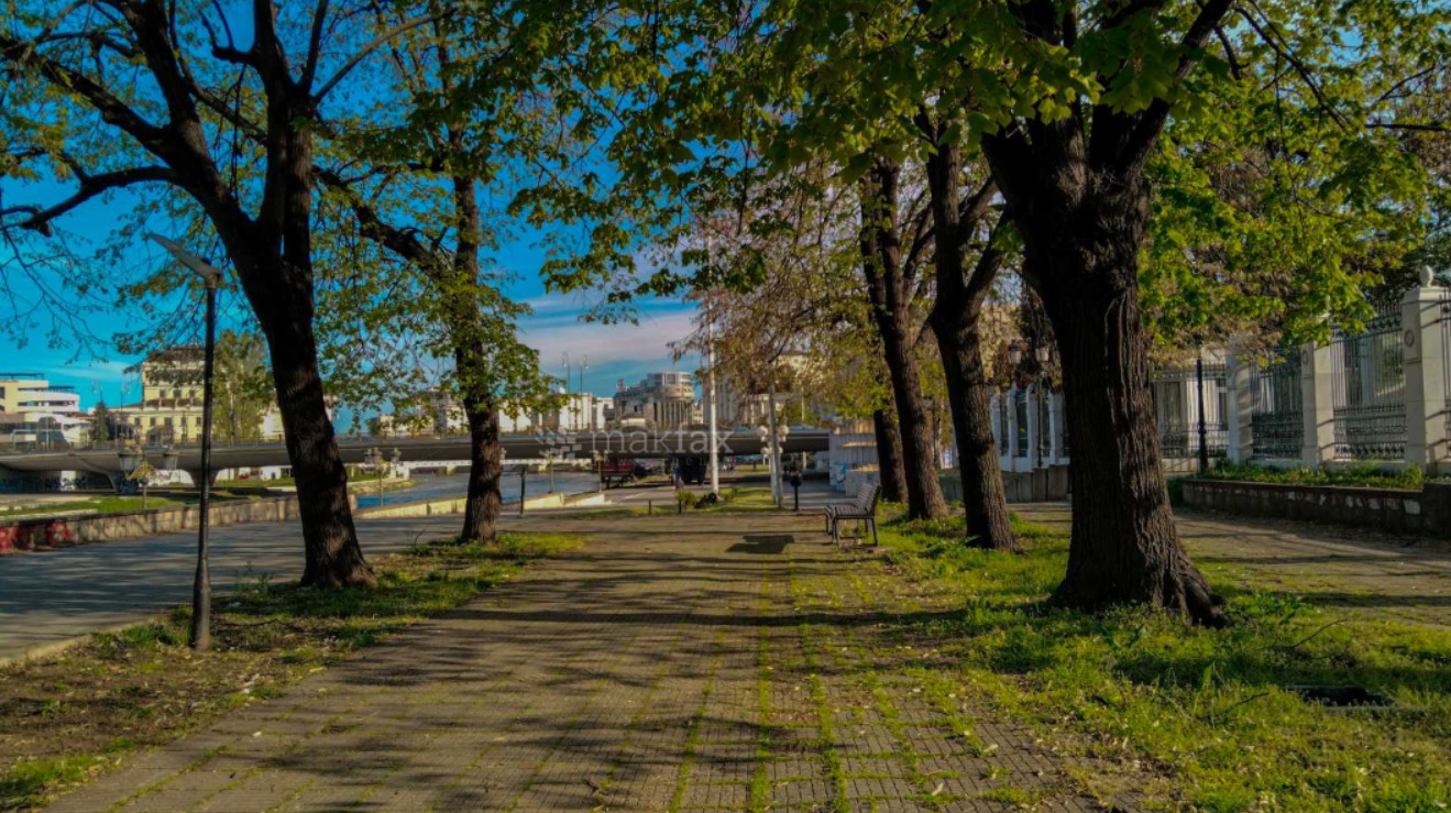 Сончево и топло, попладне со услови за локален развој на нестабилна облачност проследена со пороен дожд