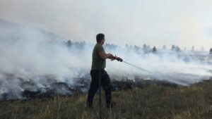 (ВИДЕО) Пожарникарите се борат да спречат пожарот да навлезе во боровите шуми на Јасен