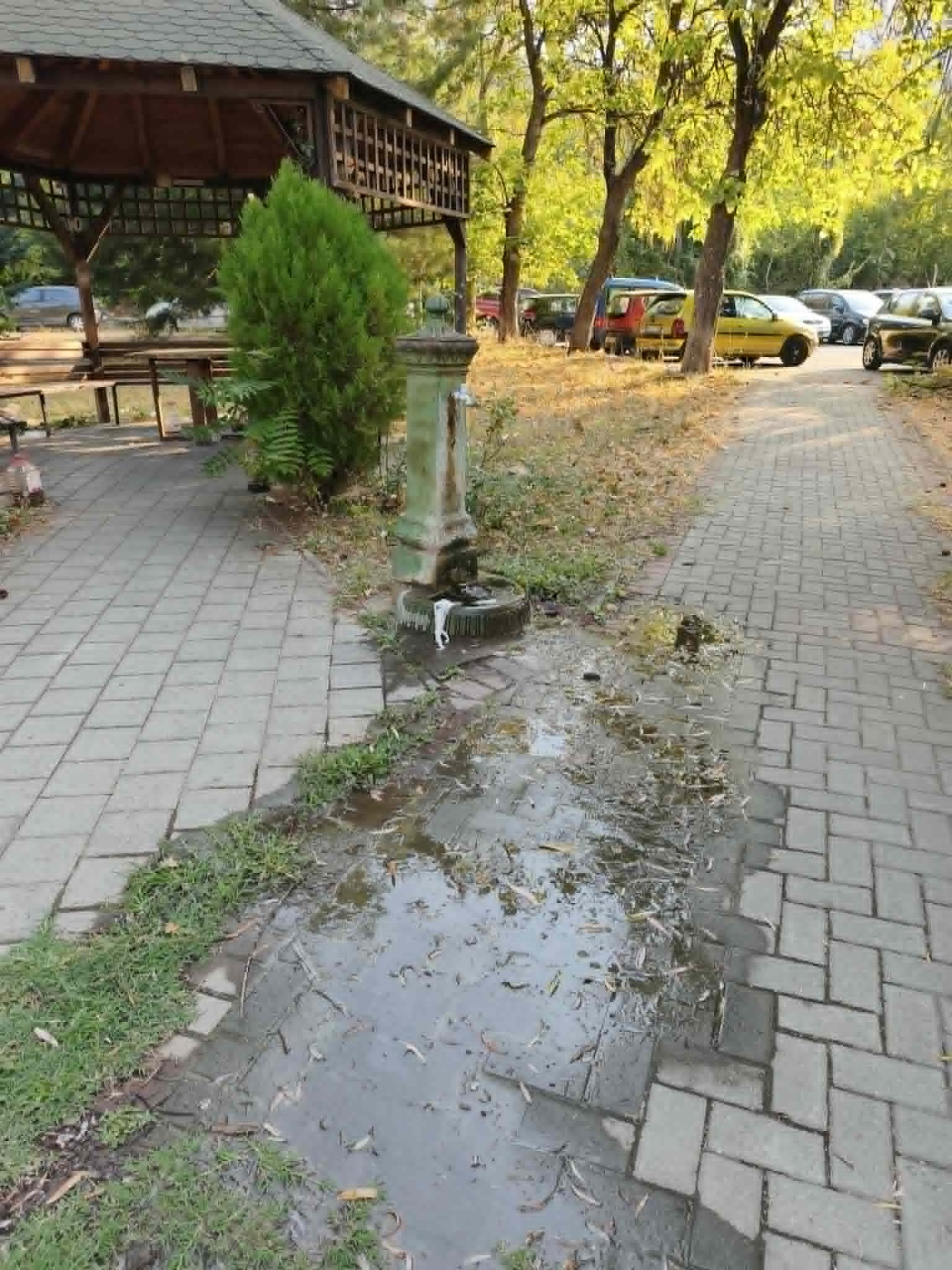 ФОТО: Ги исклучија фонтаните поради Западен Нил, а пред Поликлиника Железара една чешма тече како река