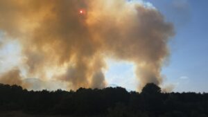 Четириесетина пожари на отворено низ Македонија изминатото деноноќие
