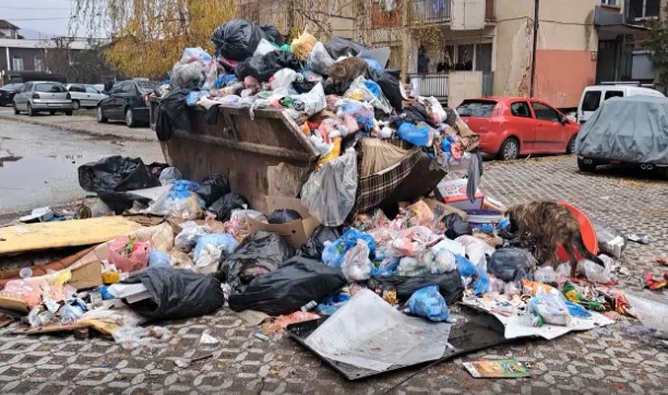 Казна во вредност од над 80 илјади евра за незаконско фрлање отпад во Скопје