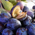 Зошто треба да јадеме сливи? Еве што содржи ова вкусно овошје