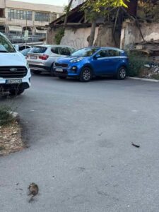 (ФОТО) Наезда на стаорци во Буњаковец, кај „Песталоци“ – реагираат граѓани
