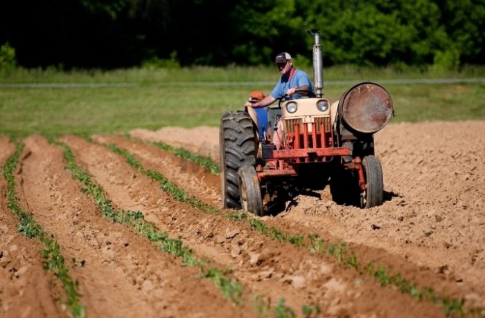 ХРВАТСКА: Просечната цена за обработливо земјиште зголемена за 758 евра во 2025 споредено со минатата година